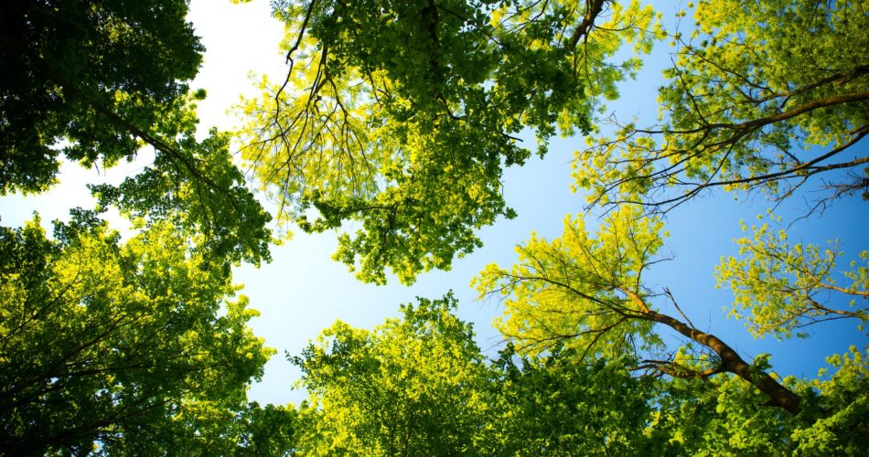 Go Green When You Clean with the H2O e3™ Cleaning System