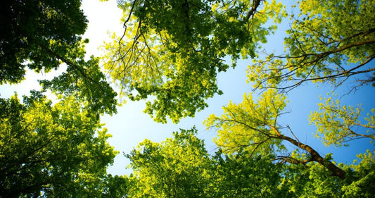 Go Green When You Clean with the H2O e3™ Cleaning System